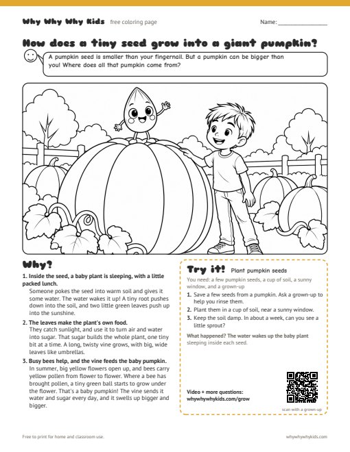 Preview of the coloring page: How does a tiny seed grow into a giant pumpkin?