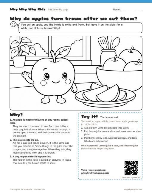 Preview of the coloring page: Why do apples turn brown after we cut them?