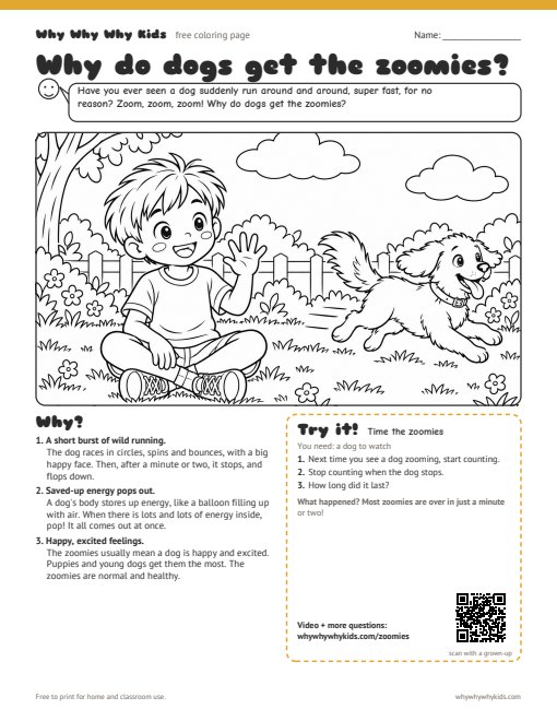 Preview of the coloring page: Why do dogs get the zoomies?