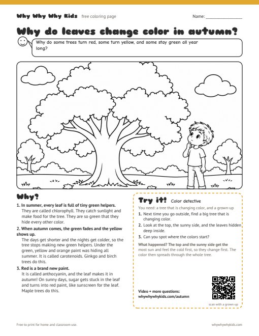 Preview of the coloring page: Why do leaves change color in autumn?
