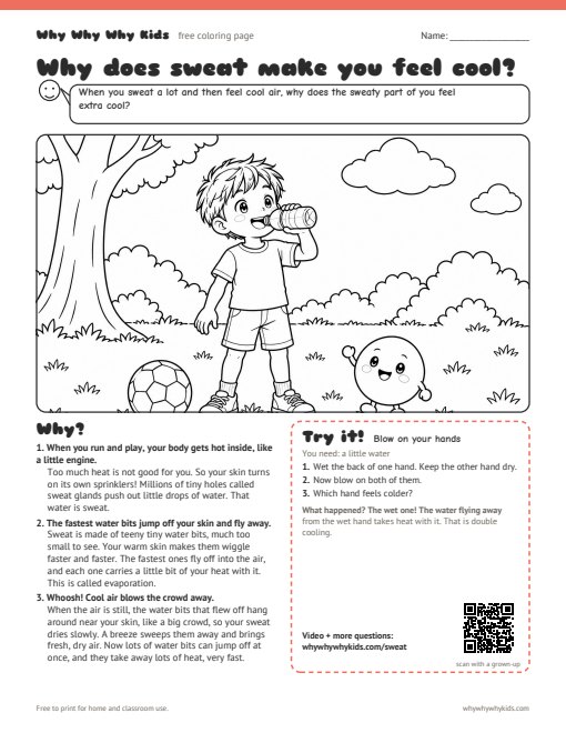 Preview of the coloring page: Why does sweat make you feel cool?