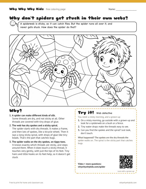 Preview of the coloring page: Why don't spiders get stuck in their own webs?
