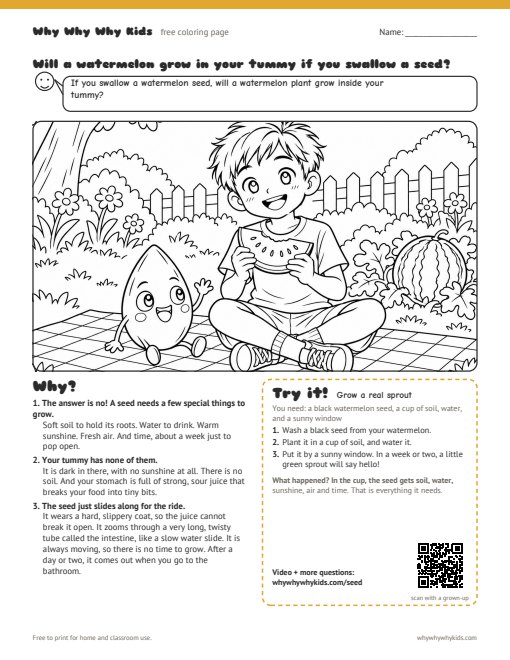 Preview of the coloring page: Will a watermelon grow in your tummy if you swallow a seed?